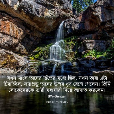 Picture 03 - গননা 11:33 BENIRV - যখন মাংস তাদের - Bible Verse Picture