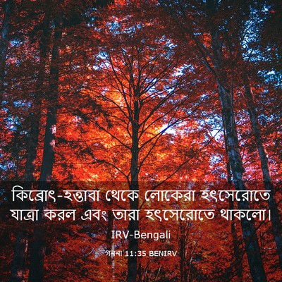 Picture 03 - গননা 11:35 BENIRV - কিব্রোৎ-হত্তাবা - Bible Verse Picture