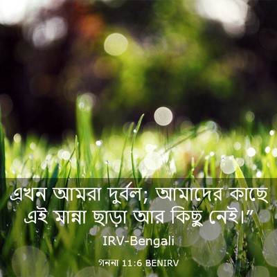 Picture 03 - গননা 11:6 BENIRV - এখন আমরা দুর্বল; - Bible Verse Picture