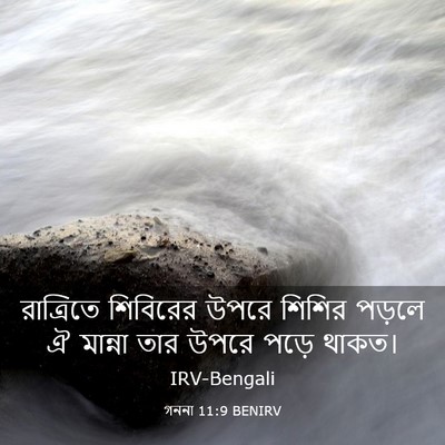 Picture 03 - গননা 11:9 BENIRV - রাত্রিতে শিবিরের - Bible Verse Picture