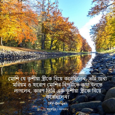 Picture 03 - গননা 12:1 BENIRV - মোশি যে কূশীয়া - Bible Verse Picture