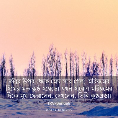 Picture 03 - গননা 12:10 BENIRV - তাঁবুর উপর থেকে - Bible Verse Picture