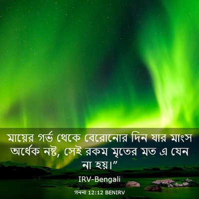 Picture 03 - গননা 12:12 BENIRV - মায়ের গর্ভ থেকে - Bible Verse Picture