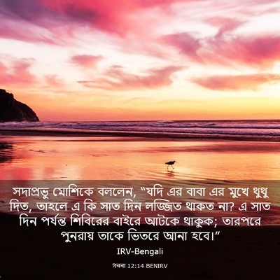 Picture 03 - গননা 12:14 BENIRV - সদাপ্রভু মোশিকে - Bible Verse Picture