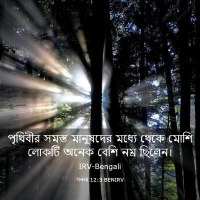 Picture 03 - গননা 12:3 BENIRV - পৃথিবীর সমস্ত - Bible Verse Picture