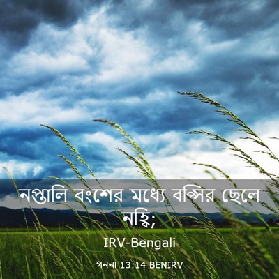 Picture 03 - গননা 13:14 BENIRV - নপ্তালি বংশের - Bible Verse Picture