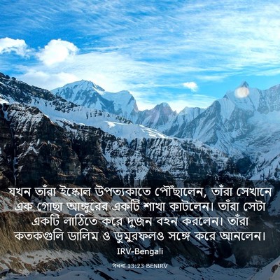 Picture 03 - গননা 13:23 BENIRV - যখন তাঁরা ইষ্কোল - Bible Verse Picture