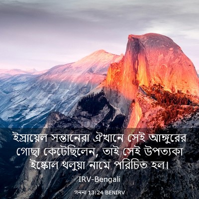 Picture 03 - গননা 13:24 BENIRV - ইস্রায়েল - Bible Verse Picture