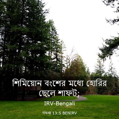 Picture 03 - গননা 13:5 BENIRV - শিমিয়োন বংশের - Bible Verse Picture