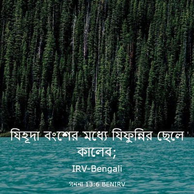 Picture 03 - গননা 13:6 BENIRV - যিহূদা বংশের - Bible Verse Picture