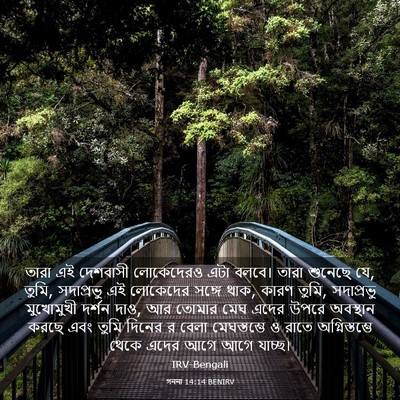 Picture 03 - গননা 14:14 BENIRV - তারা এই দেশবাসী - Bible Verse Picture
