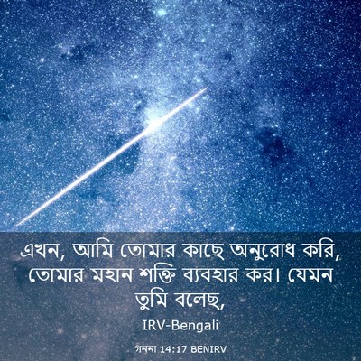 Picture 03 - গননা 14:17 BENIRV - এখন, আমি তোমার কাছে - Bible Verse Picture