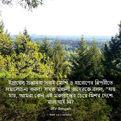 Picture 03 - গননা 14:2 BENIRV - ইস্রায়েল - Bible Verse Picture