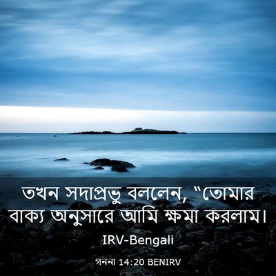 Picture 03 - গননা 14:20 BENIRV - তখন সদাপ্রভু - Bible Verse Picture