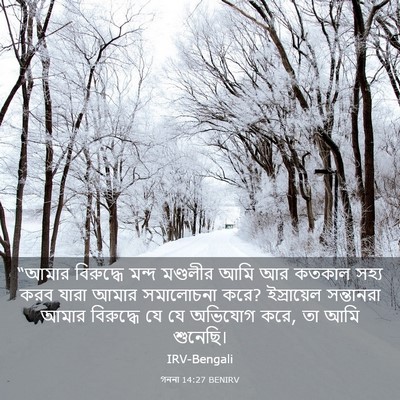 Picture 03 - গননা 14:27 BENIRV - “আমার বিরুদ্ধে - Bible Verse Picture