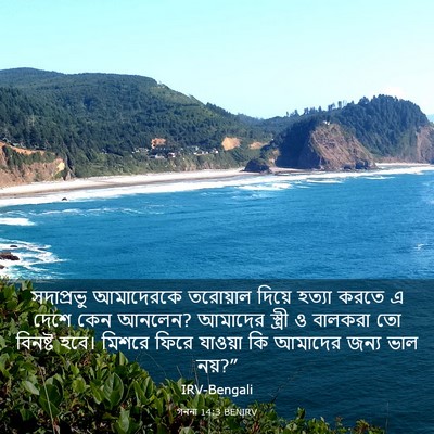 Picture 03 - গননা 14:3 BENIRV - সদাপ্রভু আমাদেরকে - Bible Verse Picture