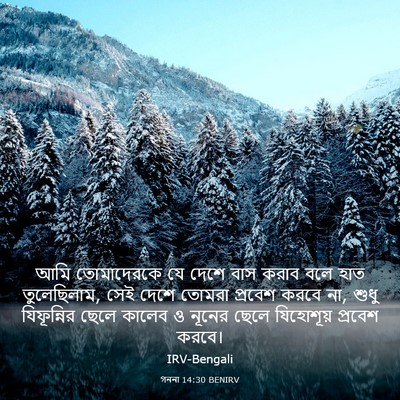 Picture 03 - গননা 14:30 BENIRV - আমি তোমাদেরকে যে - Bible Verse Picture