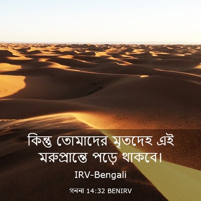 Picture 03 - গননা 14:32 BENIRV - কিন্তু তোমাদের - Bible Verse Picture