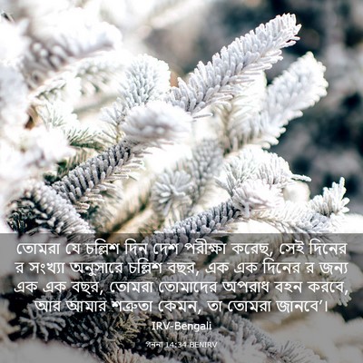 Picture 03 - গননা 14:34 BENIRV - তোমরা যে চল্লিশ - Bible Verse Picture