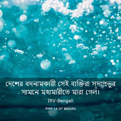 Picture 03 - গননা 14:37 BENIRV - দেশের বদনামকারী - Bible Verse Picture