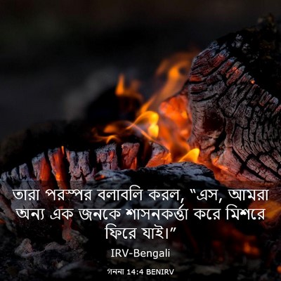 Picture 03 - গননা 14:4 BENIRV - তারা পরস্পর - Bible Verse Picture