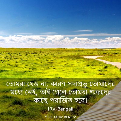 Picture 03 - গননা 14:42 BENIRV - তোমরা যেও না, কারণ - Bible Verse Picture