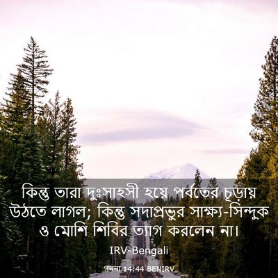 Picture 03 - গননা 14:44 BENIRV - কিন্তু তারা - Bible Verse Picture