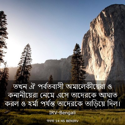 Picture 03 - গননা 14:45 BENIRV - তখন ঐ পর্বতবাসী - Bible Verse Picture