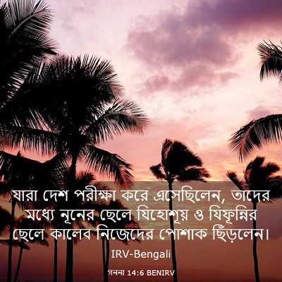 Picture 03 - গননা 14:6 BENIRV - যারা দেশ পরীক্ষা - Bible Verse Picture