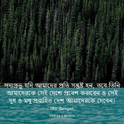 Picture 03 - গননা 14:8 BENIRV - সদাপ্রভু যদি - Bible Verse Picture