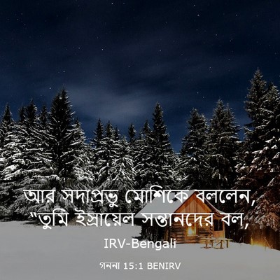 Picture 03 - গননা 15:1 BENIRV - আর সদাপ্রভু - Bible Verse Picture