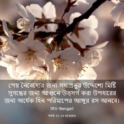 Picture 03 - গননা 15:10 BENIRV - পেয় নৈবেদ্যের - Bible Verse Picture
