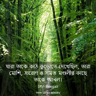 Picture 03 - গননা 15:33 BENIRV - যারা তাকে কাঠ - Bible Verse Picture