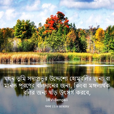 Picture 03 - গননা 15:8 BENIRV - যখন তুমি - Bible Verse Picture