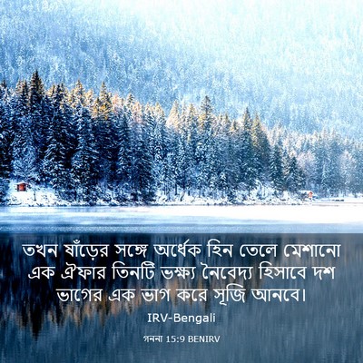 Picture 03 - গননা 15:9 BENIRV - তখন ষাঁড়ের সঙ্গে - Bible Verse Picture