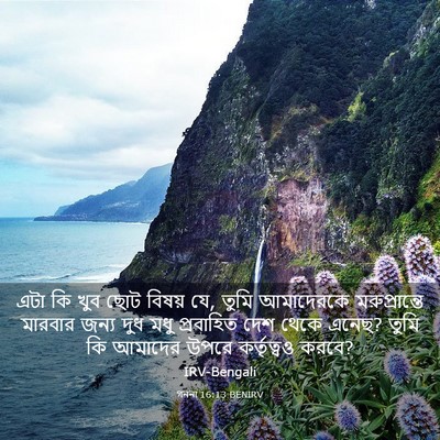 Picture 03 - গননা 16:13 BENIRV - এটা কি খুব ছোট - Bible Verse Picture