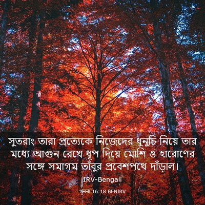 Picture 03 - গননা 16:18 BENIRV - সুতরাং তারা - Bible Verse Picture