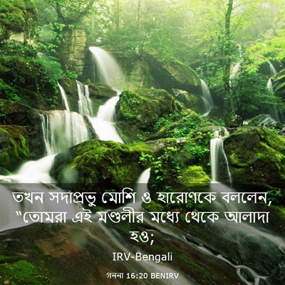 Picture 03 - গননা 16:20 BENIRV - তখন সদাপ্রভু মোশি - Bible Verse Picture