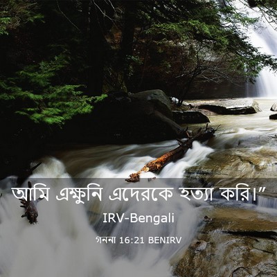 Picture 03 - গননা 16:21 BENIRV - আমি এক্ষুনি - Bible Verse Picture