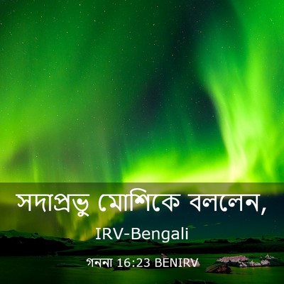 Picture 03 - গননা 16:23 BENIRV - সদাপ্রভু মোশিকে - Bible Verse Picture