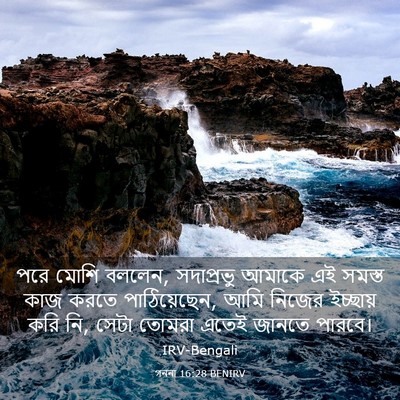 Picture 03 - গননা 16:28 BENIRV - পরে মোশি বললেন, - Bible Verse Picture