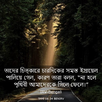 Picture 03 - গননা 16:34 BENIRV - তাদের চিত্কারে - Bible Verse Picture