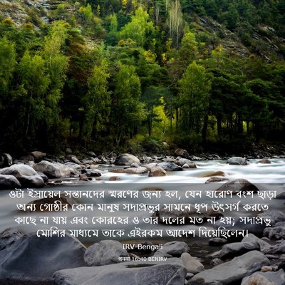 Picture 03 - গননা 16:40 BENIRV - ওটা ইস্রায়েল - Bible Verse Picture