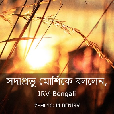 Picture 03 - গননা 16:44 BENIRV - সদাপ্রভু মোশিকে - Bible Verse Picture