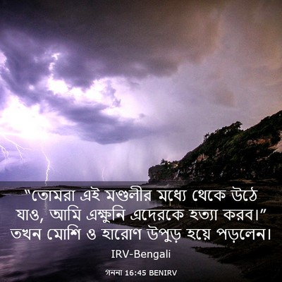 Picture 03 - গননা 16:45 BENIRV - “তোমরা এই মণ্ডলীর - Bible Verse Picture