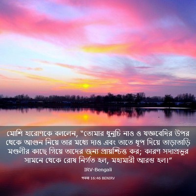 Picture 03 - গননা 16:46 BENIRV - মোশি হারোণকে - Bible Verse Picture