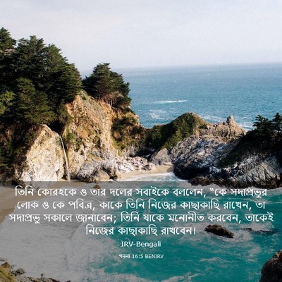 Picture 03 - গননা 16:5 BENIRV - তিনি কোরহকে ও তার - Bible Verse Picture