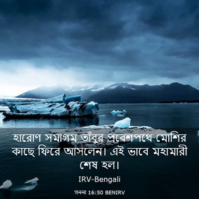 Picture 03 - গননা 16:50 BENIRV - হারোণ সমাগম - Bible Verse Picture