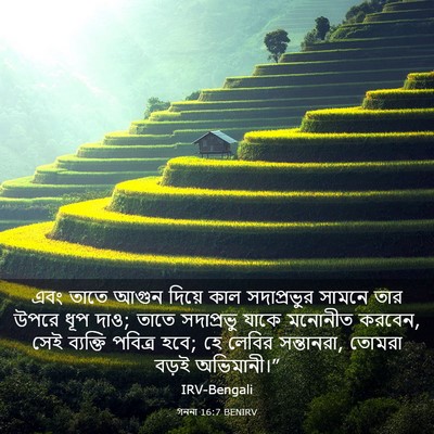 Picture 03 - গননা 16:7 BENIRV - এবং তাতে আগুন - Bible Verse Picture