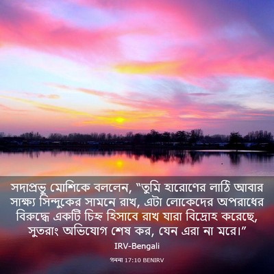 Picture 03 - গননা 17:10 BENIRV - সদাপ্রভু মোশিকে - Bible Verse Picture